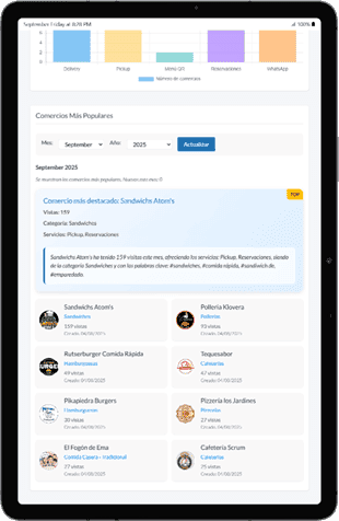 Top 8 comercios con más visitas del mes